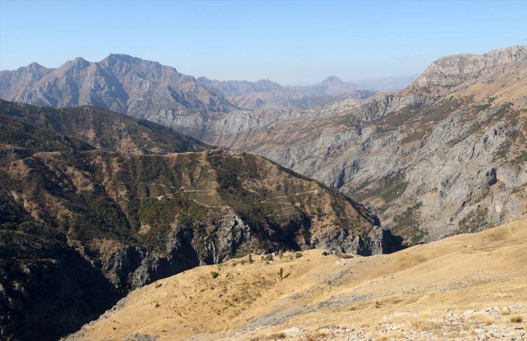 Terörün susturduğu köy, arılarla tekrar hayat buldu 1